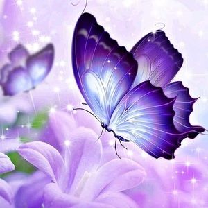 Meet your Posher, Isabel